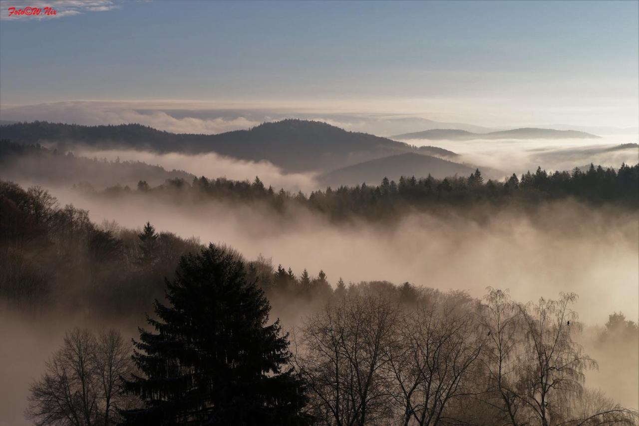 Ferienwohnung Uns Uwe Freyung Esterno foto